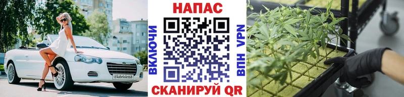 Купить где Карачаевск Марихуана AK-47
